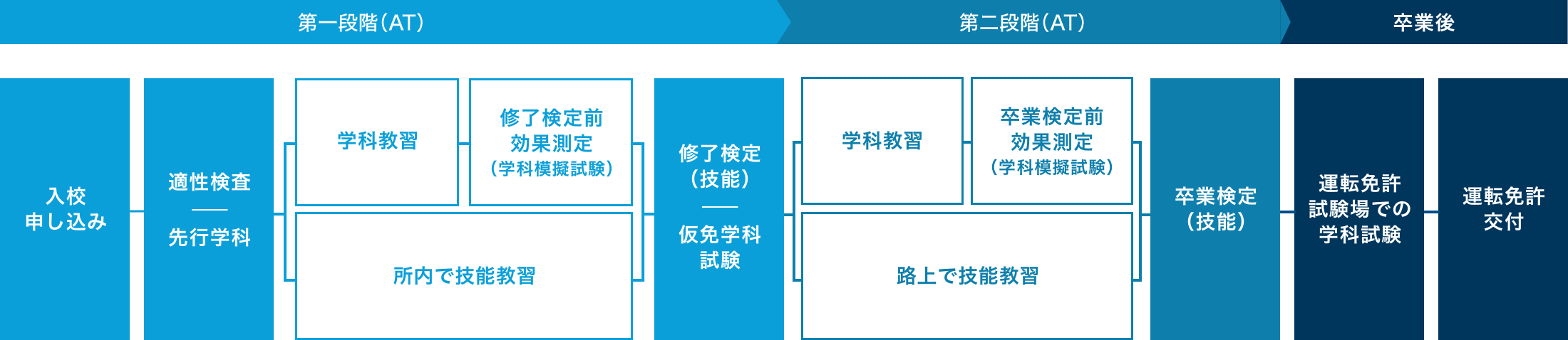 入校から卒業までの教習の流れ（AT）