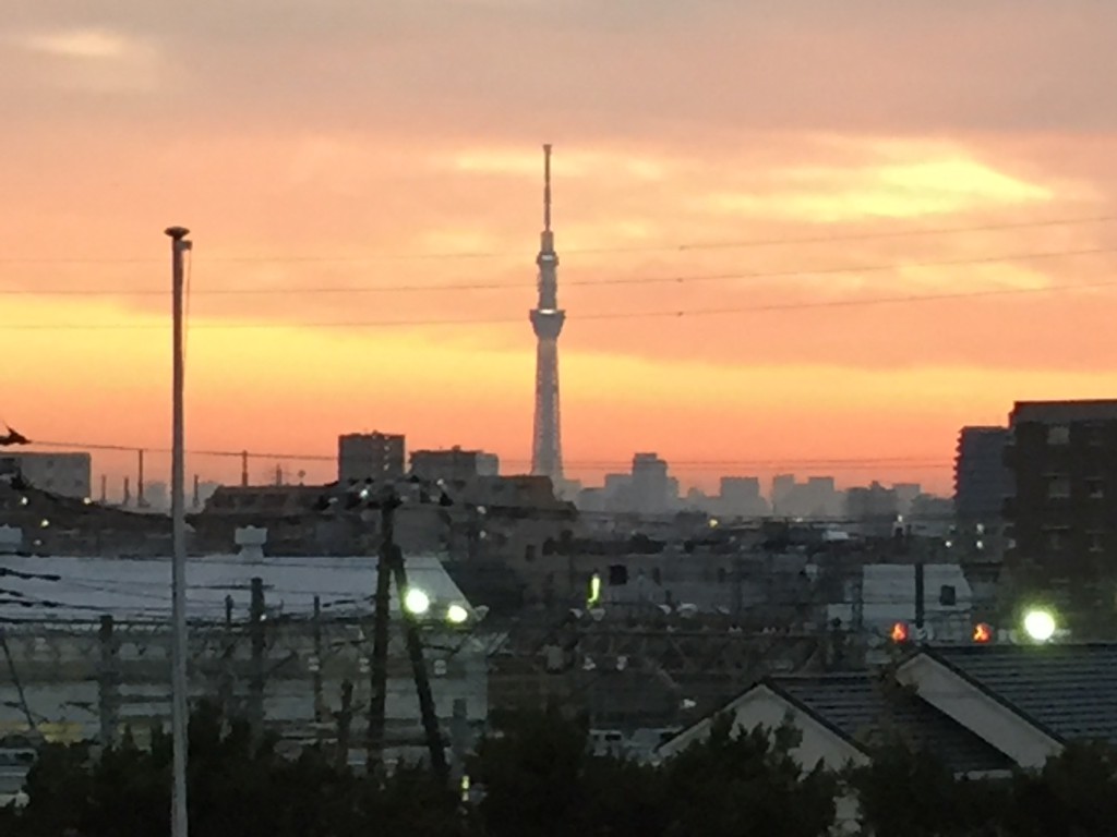 20161115夕焼け